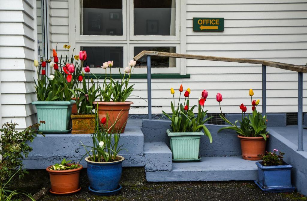 Rainforest Motel Fox Glacier Exterior foto